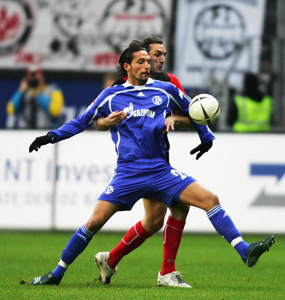 土球员也通 土球员也通